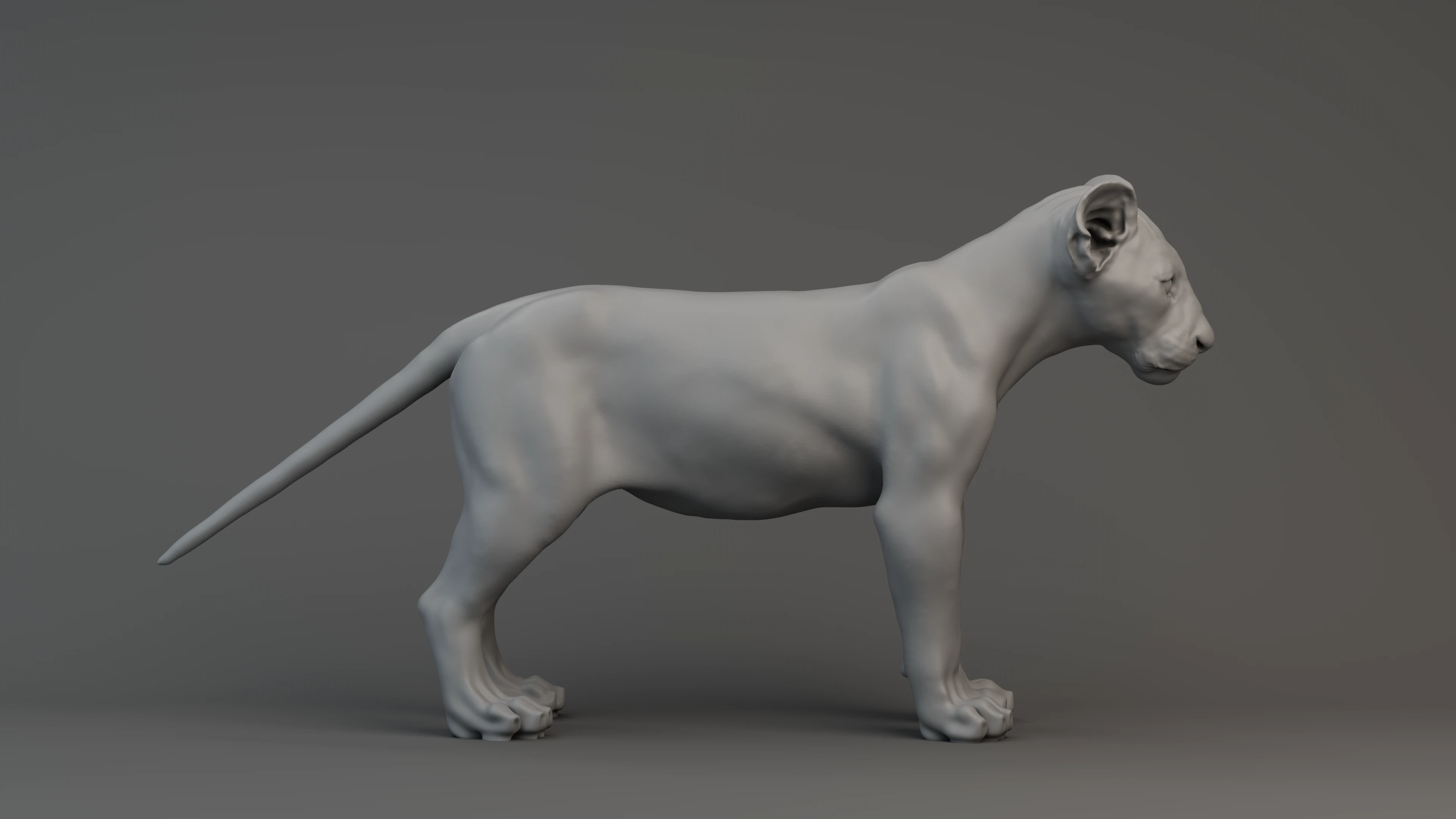 Simba_Lion_Skin_v3.png